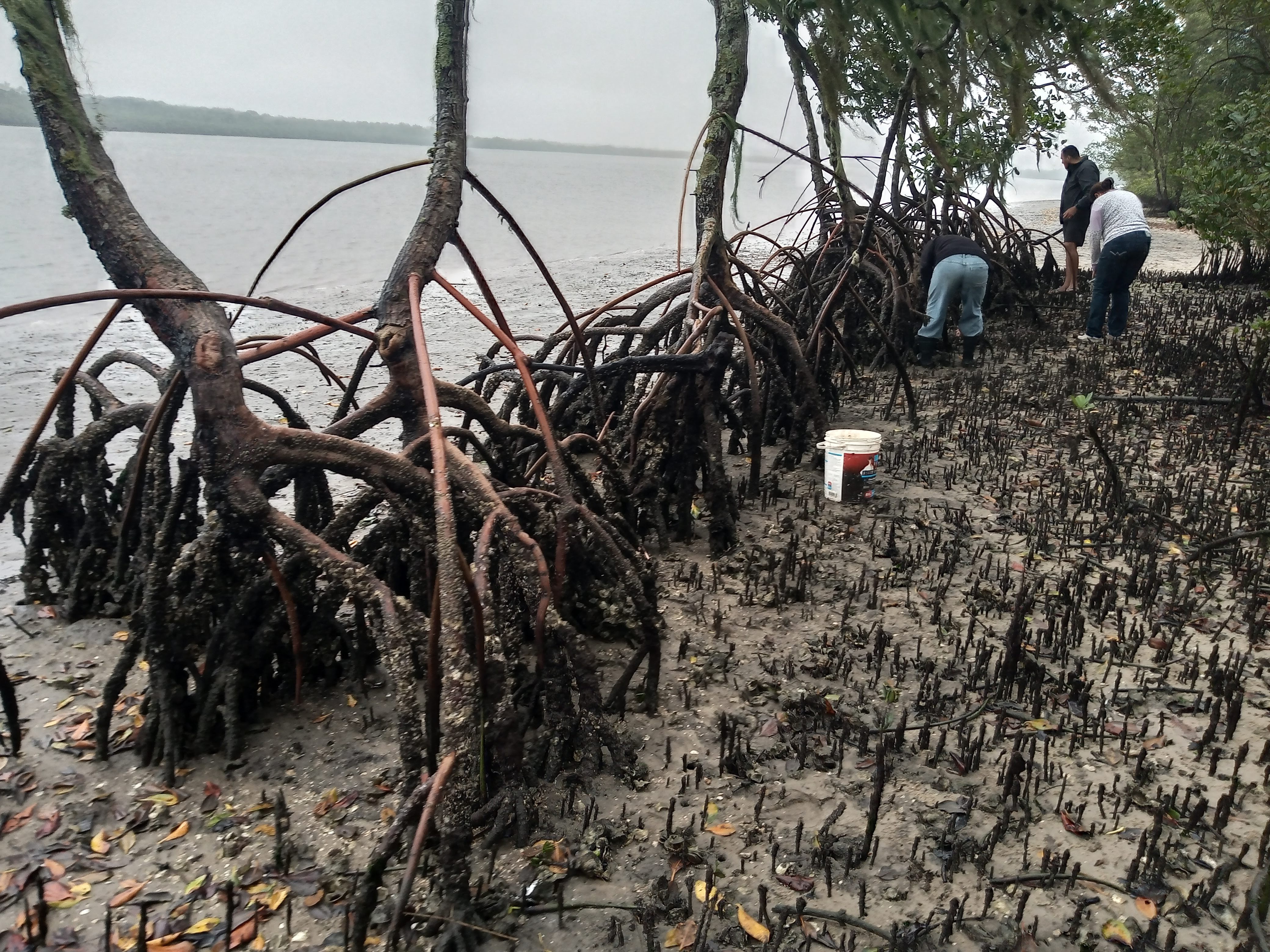 Foto de Pescadores